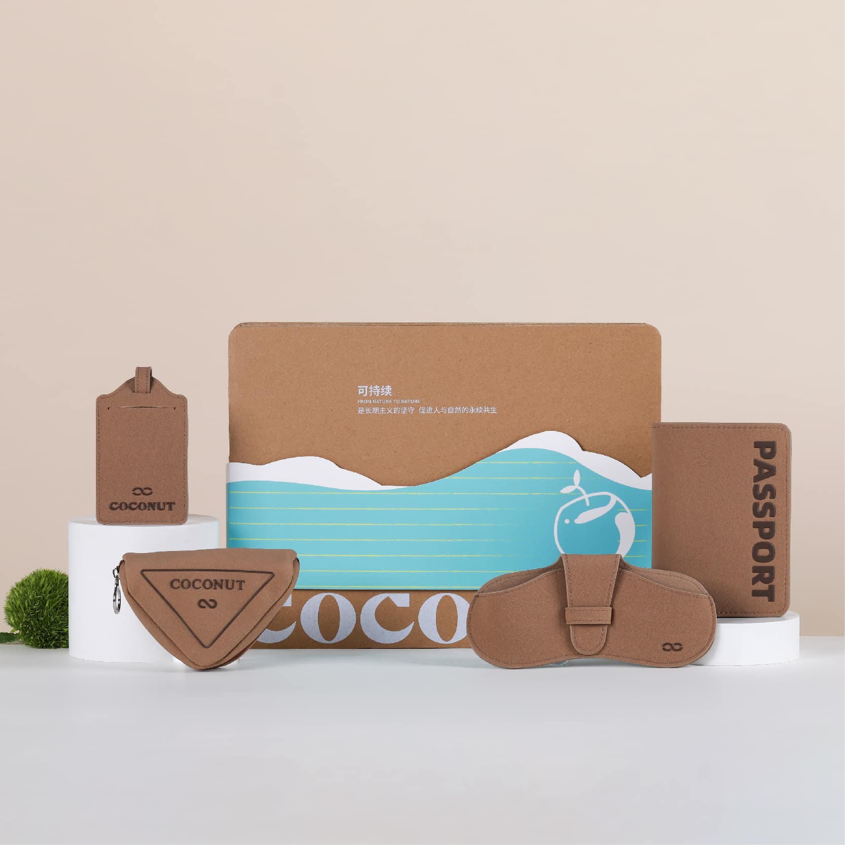 Coconut Regeneration Set CO1